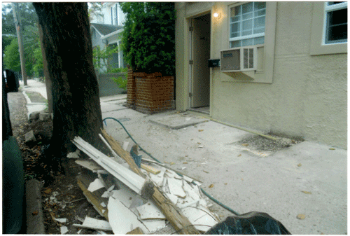 Figure 2: American elm taking on 10,000 gallons of water from a garden hose adjacent to a structure. Note the termite damage on the lumber that was set out on the curb.