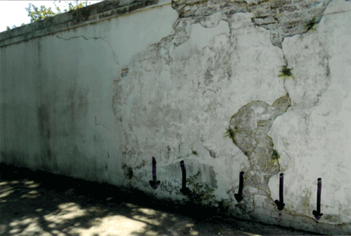 Figure 5: Exterior wall of Lafayette Cemetery, noting holes previously drilled into the masonry for application of liquid termiticide (arrows).