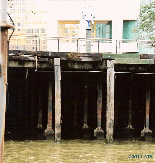 Cresote-treated wood pilings Cresote-treated wood pilings